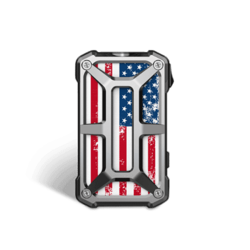 Rincoe Mechman 228W Mod