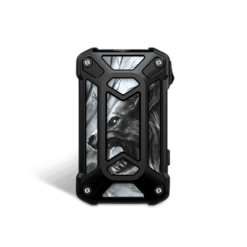 Rincoe Mechman 228W Mod